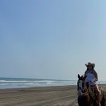 Allison Barreto - @a.l.l.y.barreto - Instagram