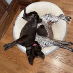 Allison Bates - Facebook