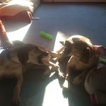 Allison Beaver - @11slugfest - Instagram