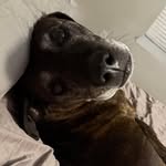 Allison Beaver - @allieb9974 - Instagram