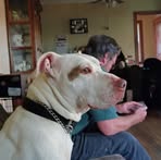 Pam Allison - Facebook