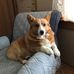 Allison Bethe - Facebook