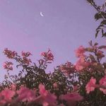 @allison.blakely - Instagram