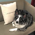 Allison Blanchard, Library Media Specialist - @pioneer_library - Instagram