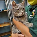 Alyson Blizzard - Facebook