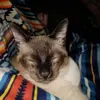 Allison Booher - @allison.booher - TikTok