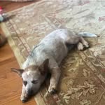 Allison Boone - @allison.boone.5439 - Instagram