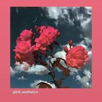 Allison Bridges - @allisonbridges72 - Instagram