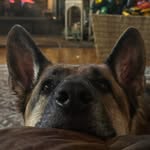 Allison Miller Broadwater - @albroadwater3 - Instagram