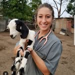 Allison Brown - @animal.doctor.leigh - Instagram