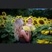 Allison Bundy - Facebook