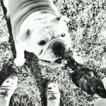 Allison Bushong - @allisonbrns - Instagram