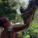 Allison Byrnes - Facebook