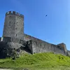 allisoncarden3 - @snajallison - TikTok