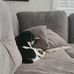 Allison Carpenter - Facebook