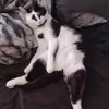 Allison Carpenter - @allison.carpenter0 - TikTok