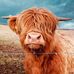 Alison Carruthers - Facebook