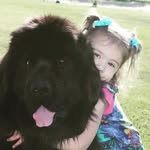 allison - @allison_crook13 - Instagram