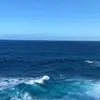 Allison Crook - @allisoncrook02 - TikTok