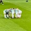 skye - @allison.curley7 - TikTok