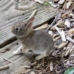 Allison Denton Currie - @currie.allison - Instagram