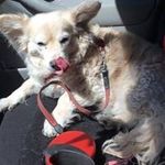 Allison M. Currie - @allison.currie.73 - Instagram