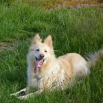 Alison Dodds - @doddsalison - Instagram