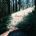 Allison Doran - @adory_ - Instagram