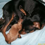 Alyson Durocher - Facebook