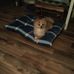 Allison Dykes - Facebook