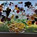 Allison Epstein - Facebook