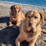 Allison Erwin Cochrane - @allycochrane20 - Instagram