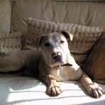 Allison Fallon - Facebook