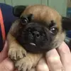 Allison Farmer - @allison.farmer4 - TikTok