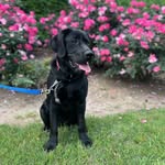 Allison Farmer - @allison5370 - Instagram