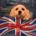 Alison Fitzpatrick - Facebook