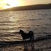 Alison Fitzpatrick - Facebook