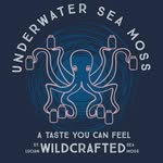 Allison Flores - @underwaterseamoss1111 - Instagram