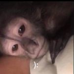 Allison Flores - @___azulita___1 - Instagram