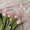 allisonnflores - @allisonnflores - TikTok