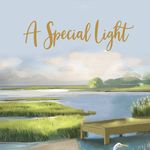 Allison Forrester - @a_special_light_book - Instagram