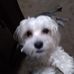 Allison Fischer - Facebook