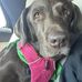Allison Geller - Facebook