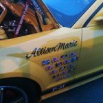 Allison Gibbons - @chicagogirl1977 - Instagram