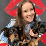 Allison Gibbons-Serna - @allisonrgibbons - Instagram