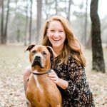 allison shaw gibbons l designed gingerly - @allison_shaw_gibbons - Instagram