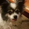 Allison Gibbs - @angibbs123987 - TikTok