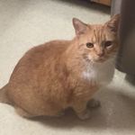Allison Gilliam - @allylee67 - Instagram