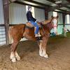 allison_gilliam - @allison_gilliam - TikTok