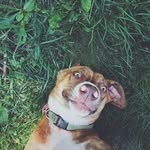 Allison Smith Granger - @allisonsmithgranger - Instagram